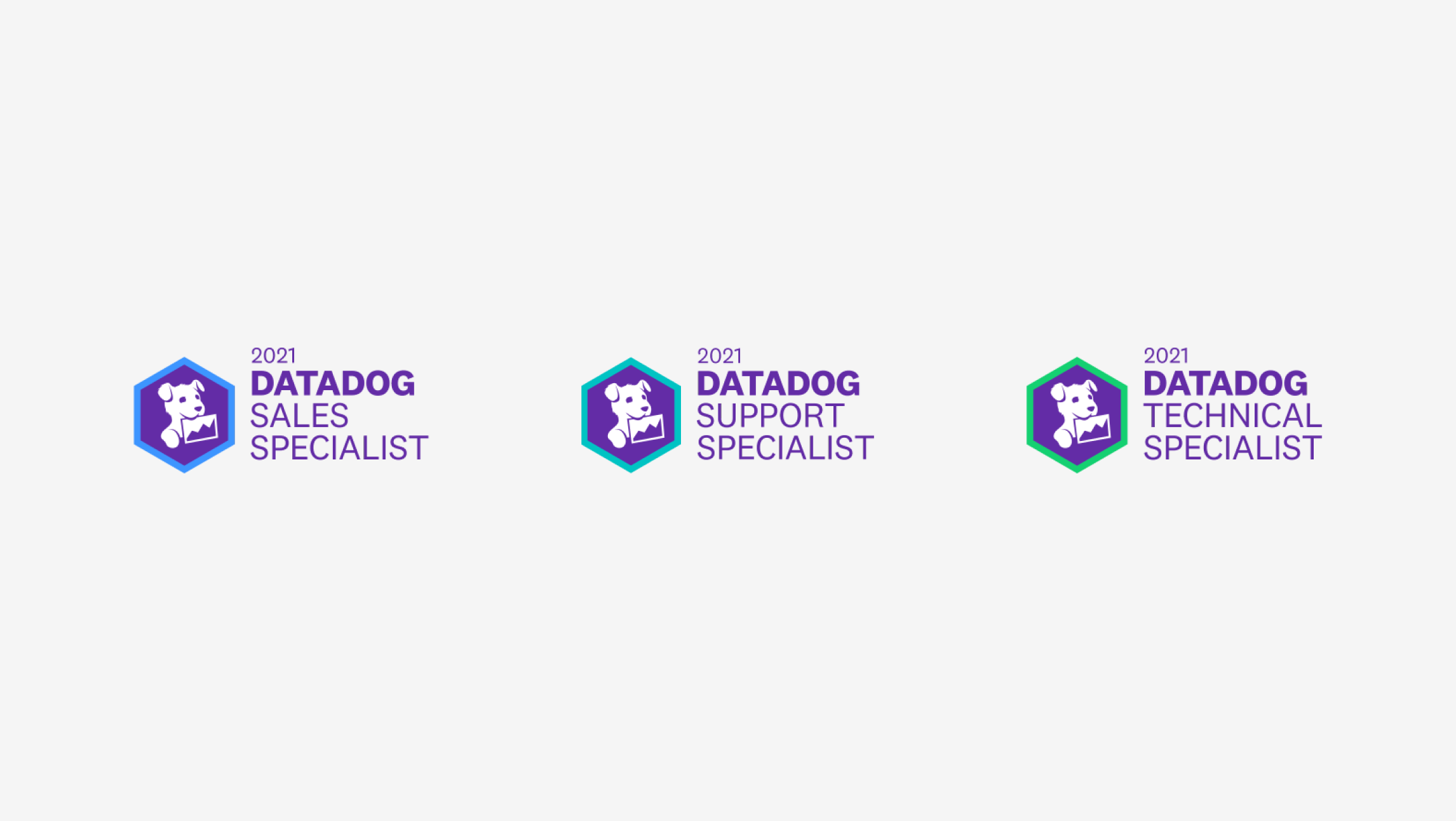 Three variations of the Datadog Partner Network logo displayed in a row on a light gray background. The hexagon shape and font styles are consistent while the hexagon border and adjacent text are specific to the partner category. From left to right: Datadog Sales Specialist(blue border), Datadog Support Specialist(teal border), Datadog Technical Specialist(green border).